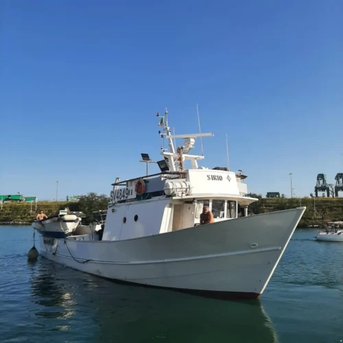 Navire de Tradition en Bois Précieux « SI